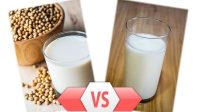 Susu Soya atau Susu Sapi: Mana Lebih Baik untuk Anda? terbaru