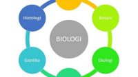 mengenal 20 cabang ilmu biologi terbaru