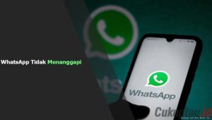 Cara Mengatasi WhatsApp Tidak Menanggapi Berikut Penyebab dan Cara Mengatasinya terbaru