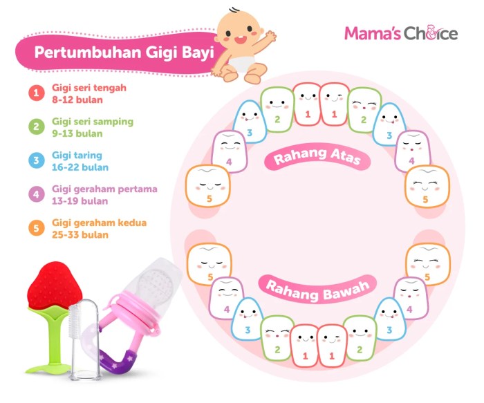 Bayi Sehat: Pentingnya Tumbuh Gigi pada Bayi 10 Bulan dan Tips Membantunya
