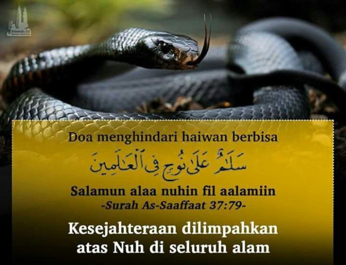 langkah-langkah menjaga rumah agar tidak dimasuki ular terbaru