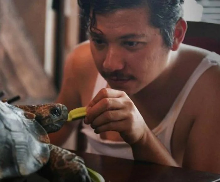 5 hewan peliharaan di film indonesia yang menggemaskan