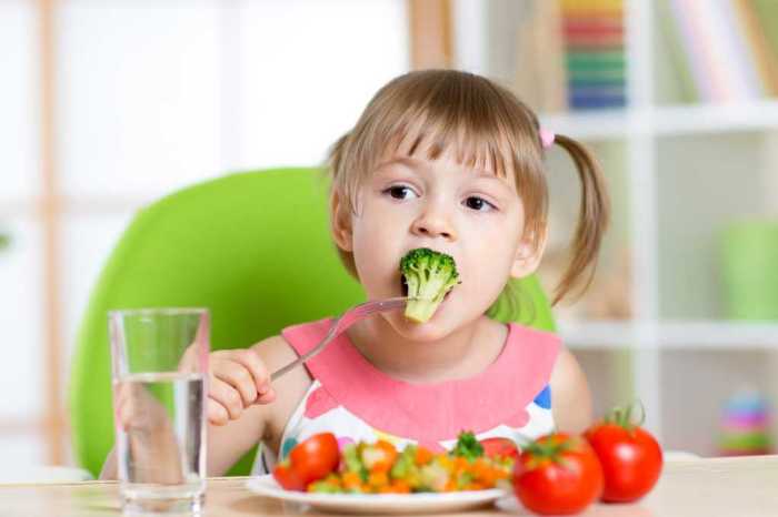 Gizi Anak: Panduan Lengkap Pemenuhan Nutrisi Balita 1-5 Tahun terbaru