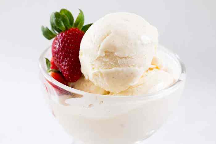 Resep Vanilla Milk Regal Ice: Sensasi Es Krim Mewah dengan Rasa Vanila dan Susu yang Creamy